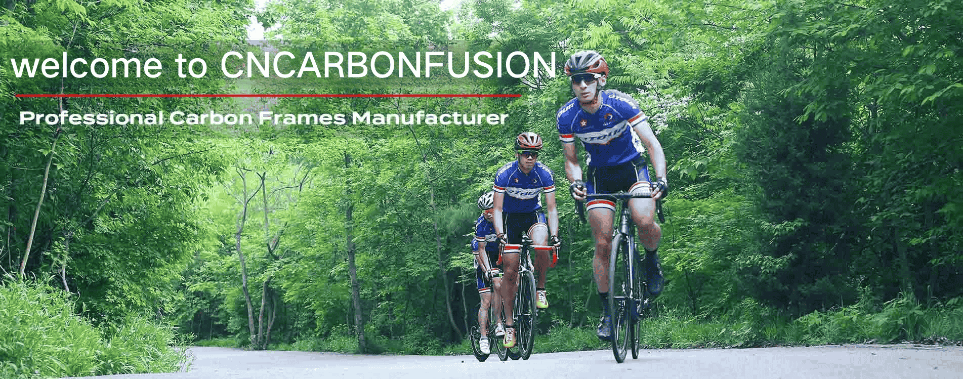 JIANGSU QYH CARBONE TECH CO., LTD